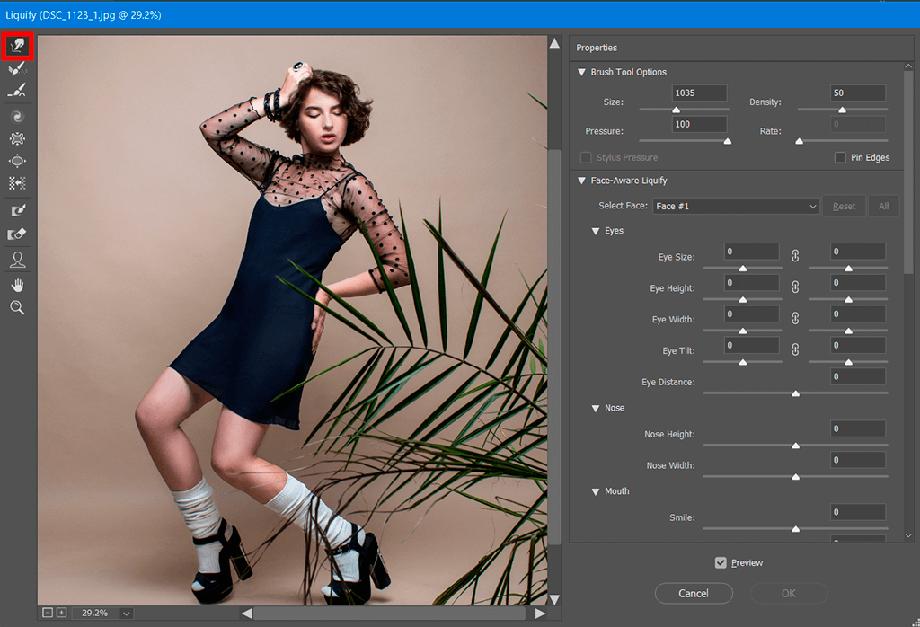 HOW TO USE LIQUIFY TOOL IN PHOTOSHOP IN 3 WAYS
