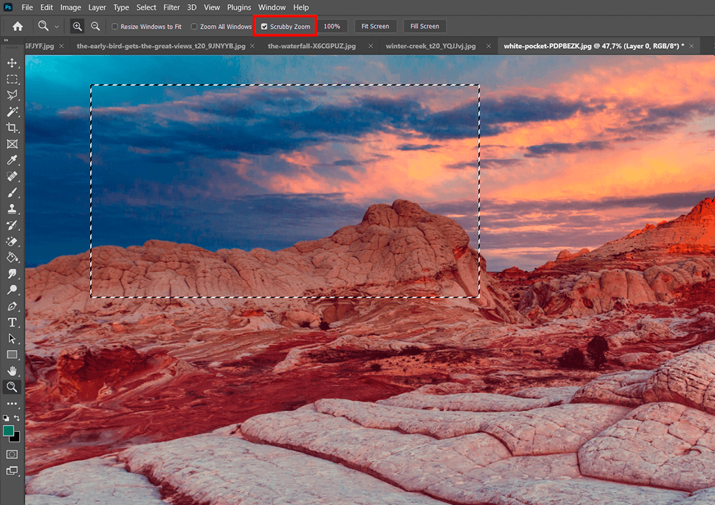HOW TO ZOOM IN PHOTOSHOP: ALL POSSIBLE METHODS TO TRY